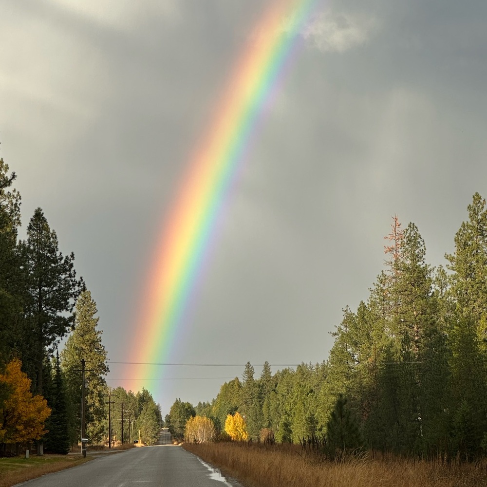 Meet your Posher, Shari